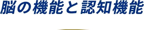 脳の機能と認知機能